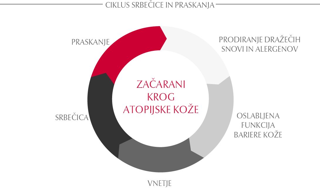 Začaran krog atopijske kože (znan tudi kot ciklus srbečice in praskanja)