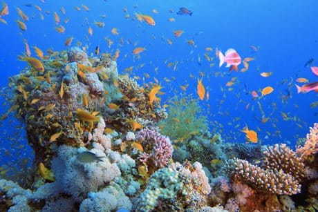 Biološko razgradljiv izdelek za zaščito pred soncem znamke Eucerin